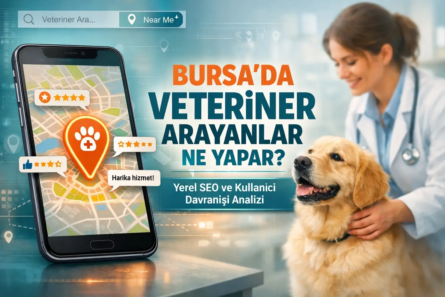 Bursa’da Veteriner Arayanlar Ne Yapar? Yerel SEO ve Kullanıcı Davranışı Analizi